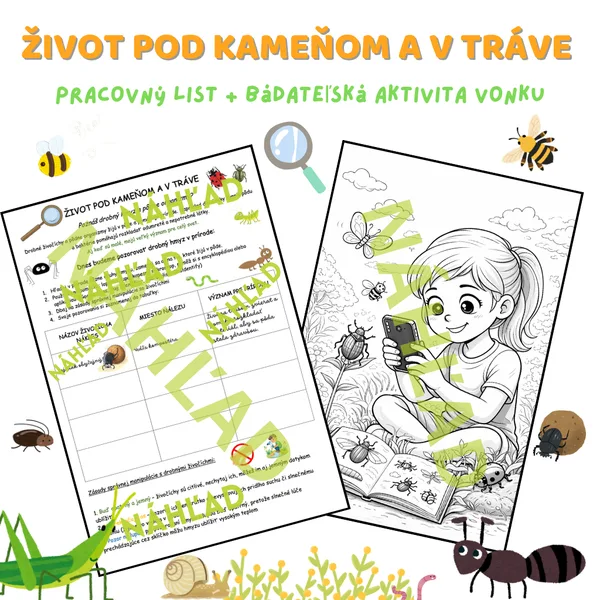 Život pod kameňom a v tráve – pracovný list + bádateľská aktivita vonku