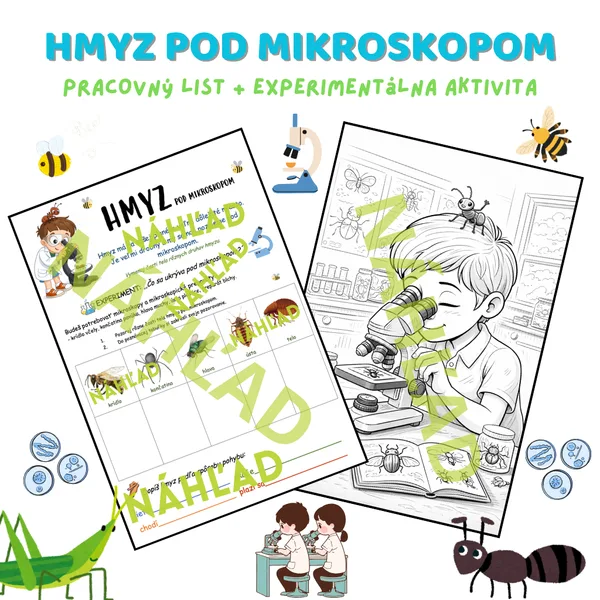 Hmyz pod mikroskopom – pracovný list + experimentálna aktivita