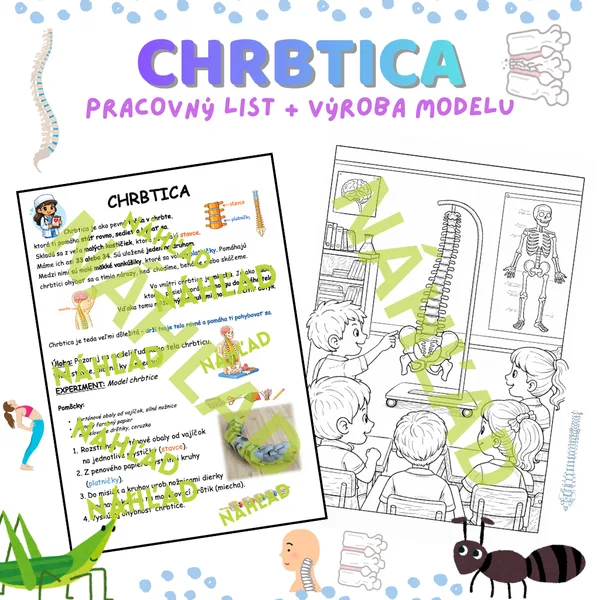 Chrbtica - pracovný list a výroba modelu