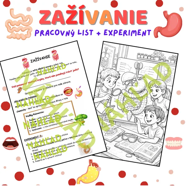 Zábavné trávenie – pracovný list + experiment
