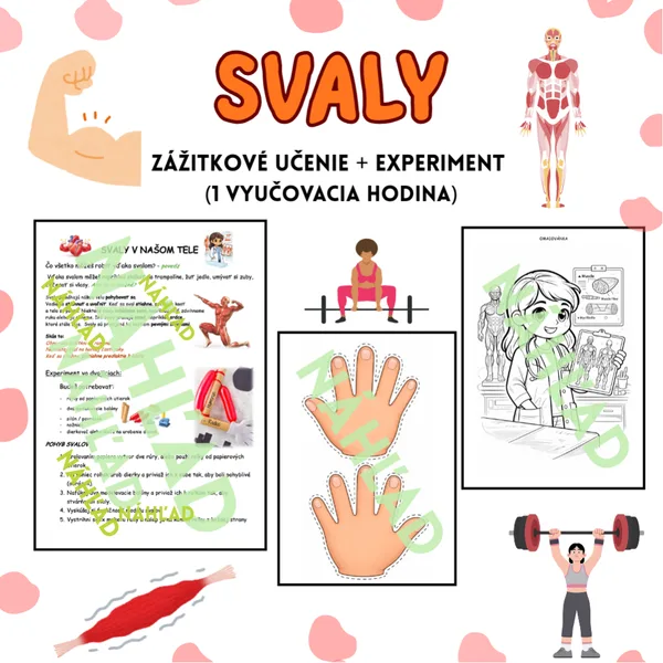 Svaly v našom tele – zážitkové učenie + experiment (1 vyučovacia hodina)