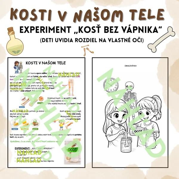 🦴 Kosti v našom tele – experiment „kosť bez vápnika“ 