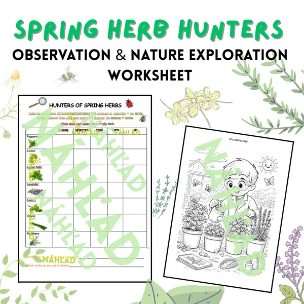 Spring Herb Hunters – Observation & Nature Exploration Worksheet 