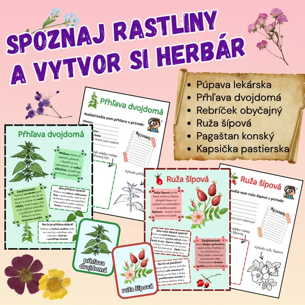 Jarné rastliny, herbár