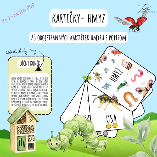 Kartičky- Hmyz