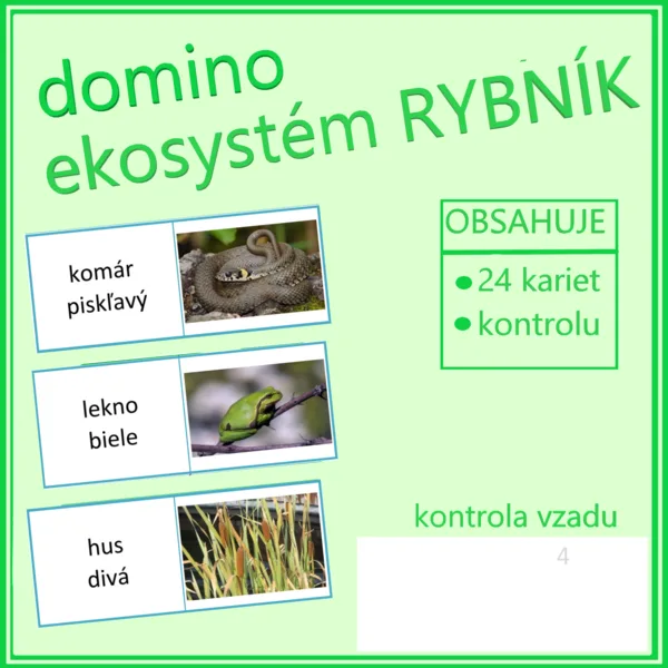Domino – ekosystém RYBNÍK