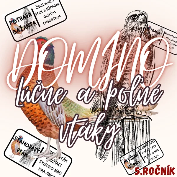 Domino - Lúčne a poľné vtáky