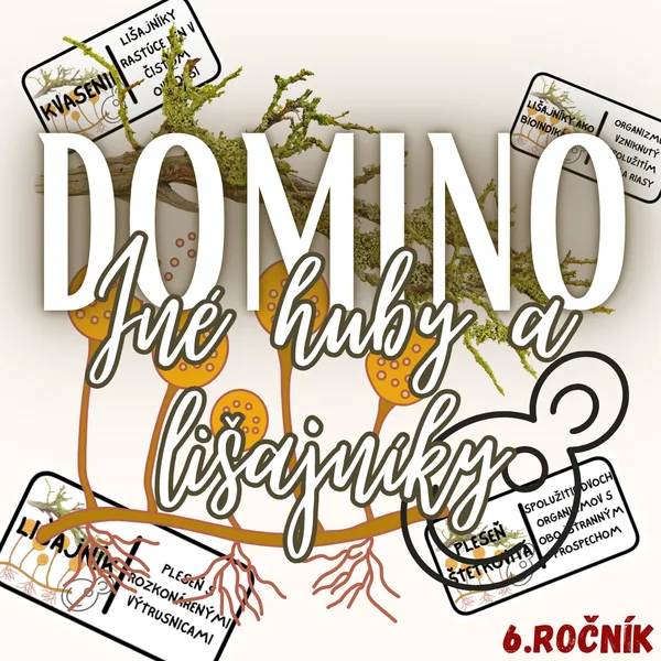 Domino - Iné huby a lišajníky