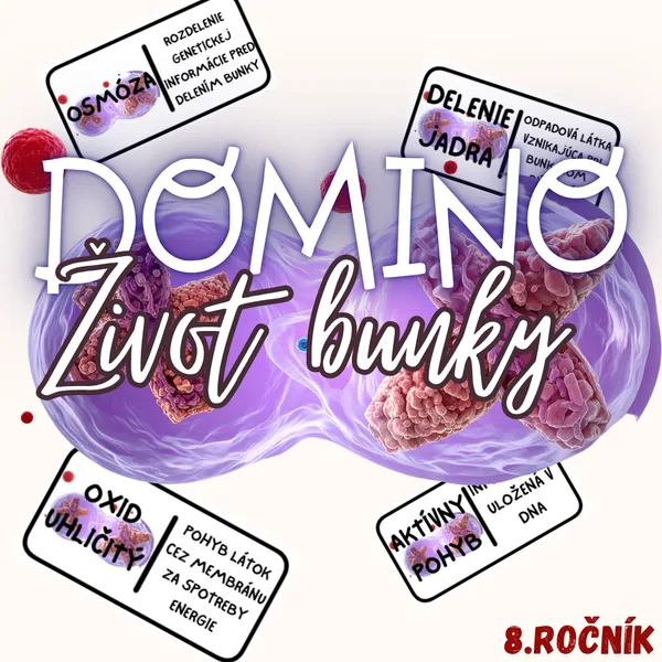 Domino - Život bunky 