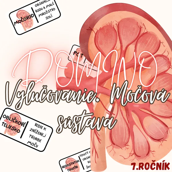 Domino - Vylučovanie. Močová sústava