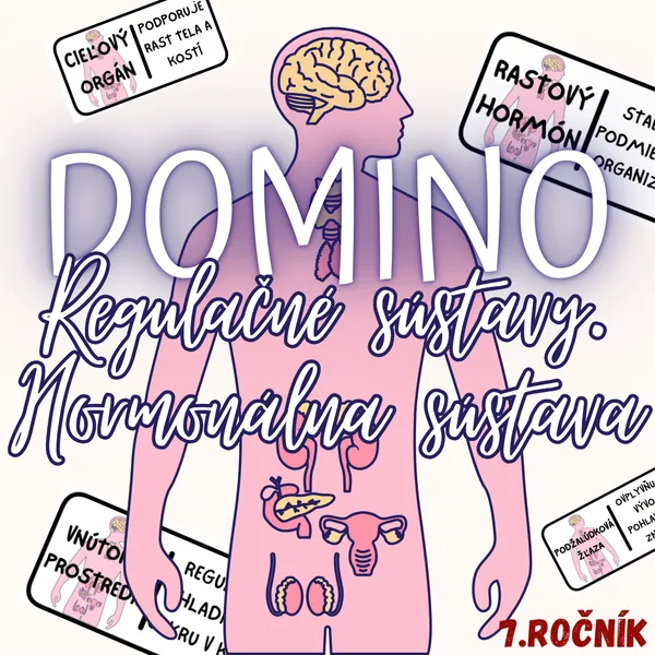 Domino - Regulačné sústavy. Hormonálna sústava