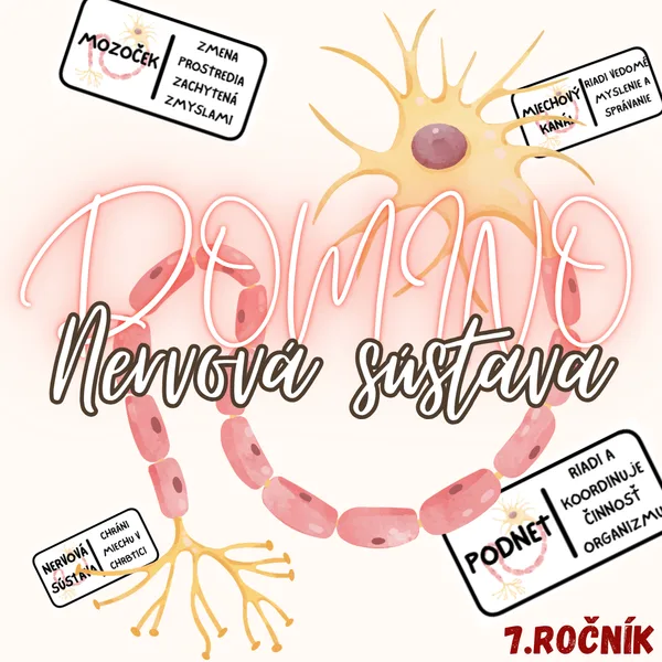 Domino - Nervová sústava