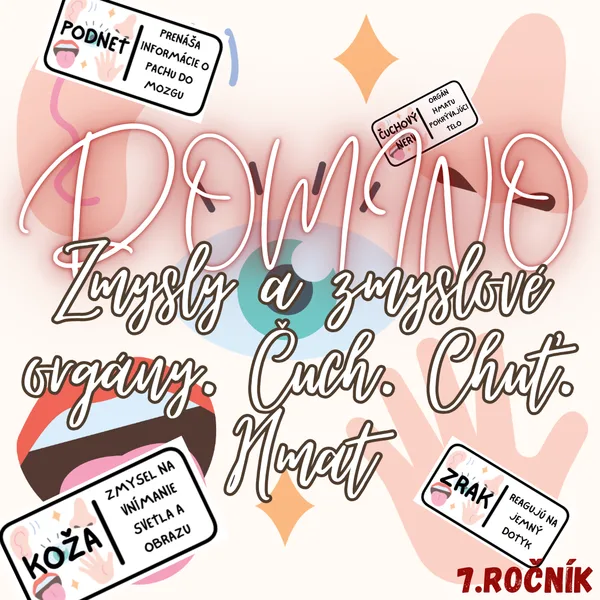 Domino - Zmysly a zmyslové orgány. Čuch. Chuť. Hmat