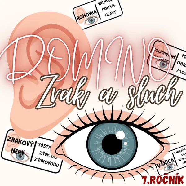 Domino - Zrak a sluch človeka
