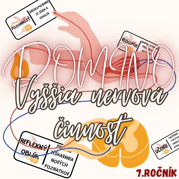 Domino - Vyššia nervová činnosť