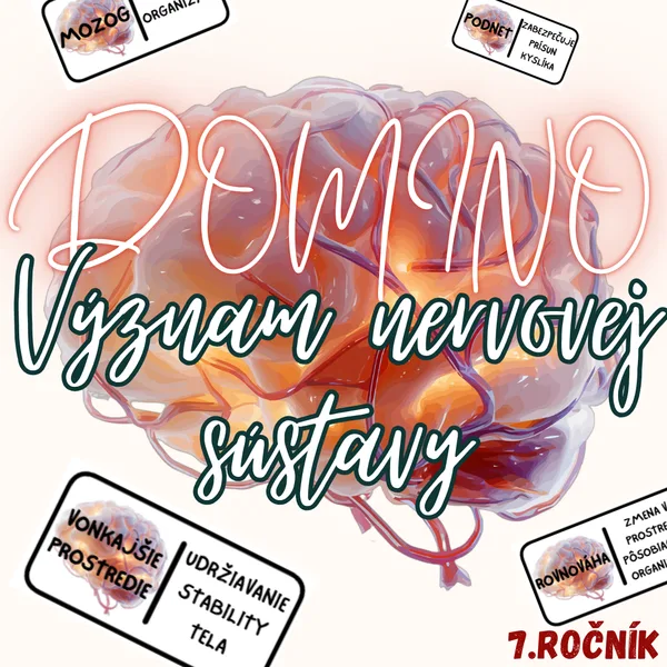 Domino - Význam nervovej sústavy