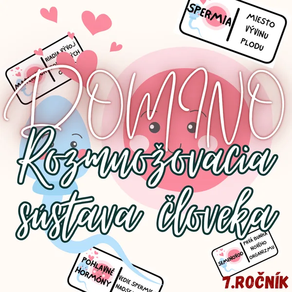 Domino - Rozmnožovacia sústava človeka