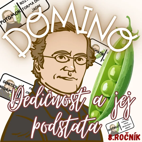 Domino - Dedičnosť a jej podstata 