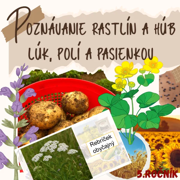 Poznávanie rastlín a húb lúk, polí a pasienkov