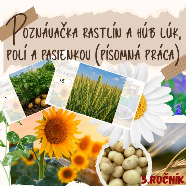 Poznávačka rastlín a húb lúk, polí a pasienkov (písomná práca)