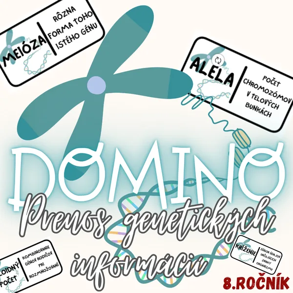 Domino - Prenos genetických informácií 