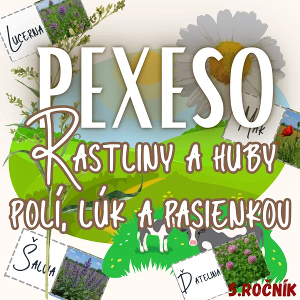 PEXESO - Rastliny a huby polí, lúk a pasienkov