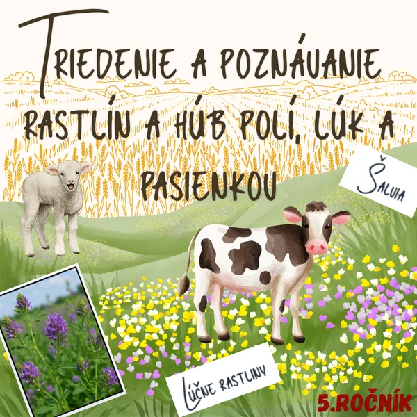 Triedenie a poznávanie rastlín a húb polí, lúk a pasienkov