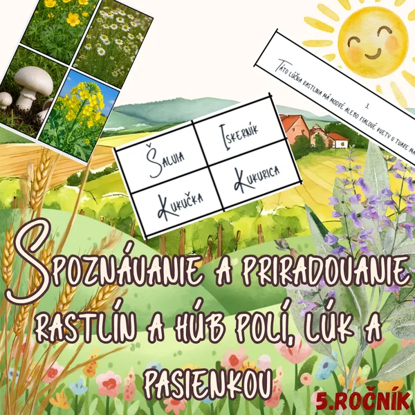 Spoznávanie a priraďovanie rastlín a húb polí, lúk a pasienkov 