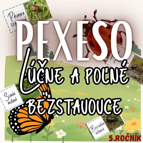 Pexeso - Lúčne a poľné bezstavovce