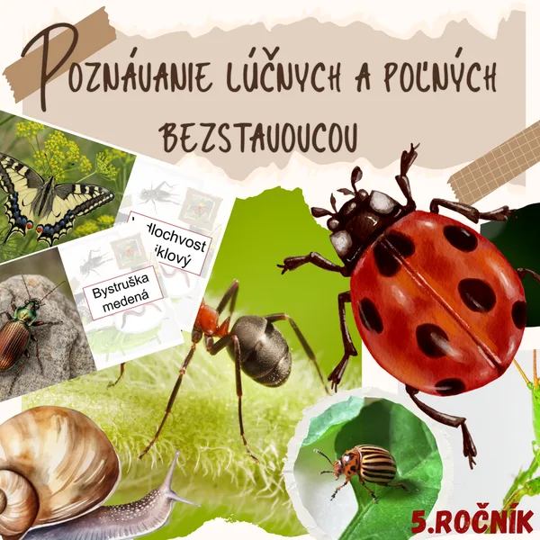 Poznávanie lúčnych a poľných bezstavovcov