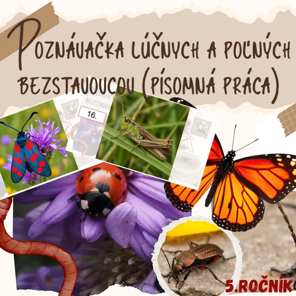 Poznávačka lúčnych a poľných bezstavovcov (písomná práca)