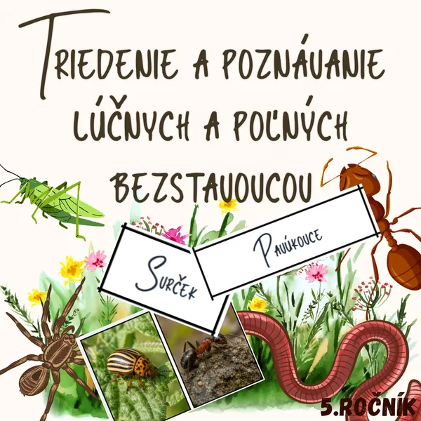 Triedenie a poznávanie lúčnych a poľných bezstavovcov