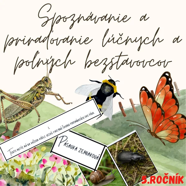 Spoznávanie a priraďovanie lúčnych a poľných bezstavovcov