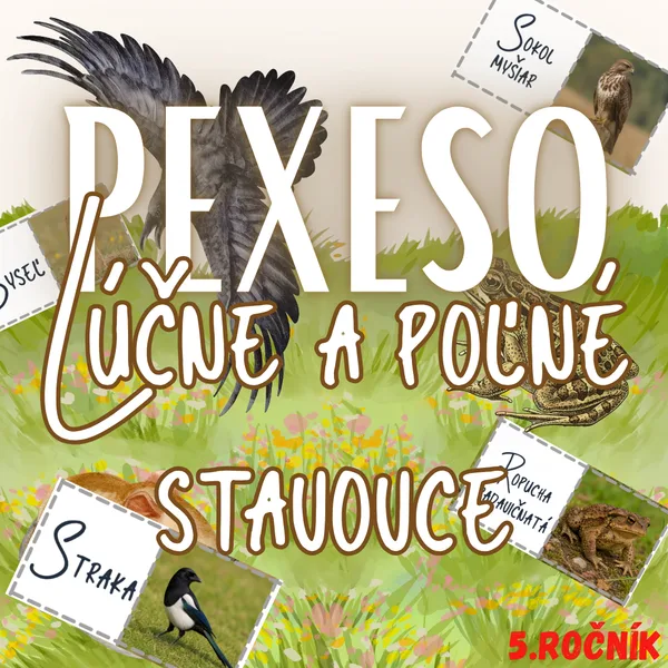 PEXESO – Lúčne a poľné stavovce