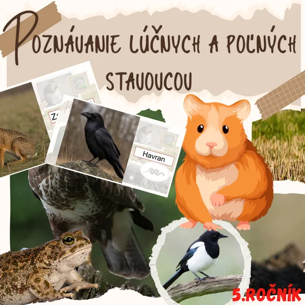Poznávanie lúčnych a poľných stavovcov