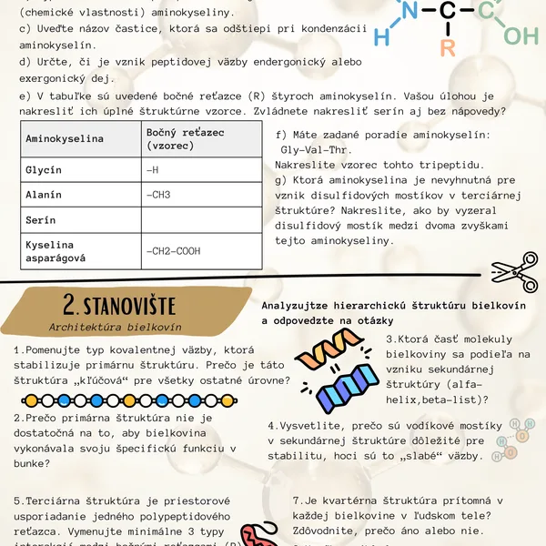 Bielkoviny komplet: 6 stanovíšť + Pracovný list + riešenie (SŠ)