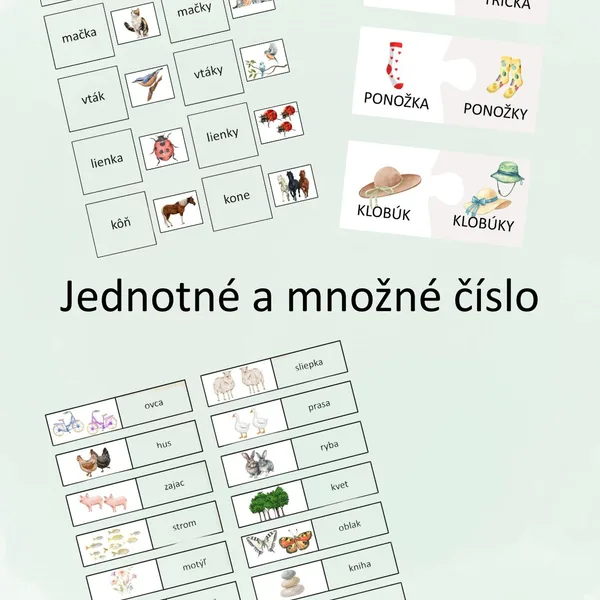 Jednotné a množné číslo