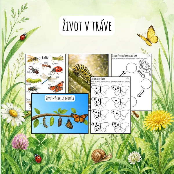 Život v tráve, Hmyz, Čo to lieta, Čo to bzučí?, Život v tráve, Ja mám- Kto má ?