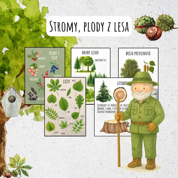 Stromy, les, plody z lesa, lesné plody, učebná pomôcka, obrázkový materiál na tabuľu