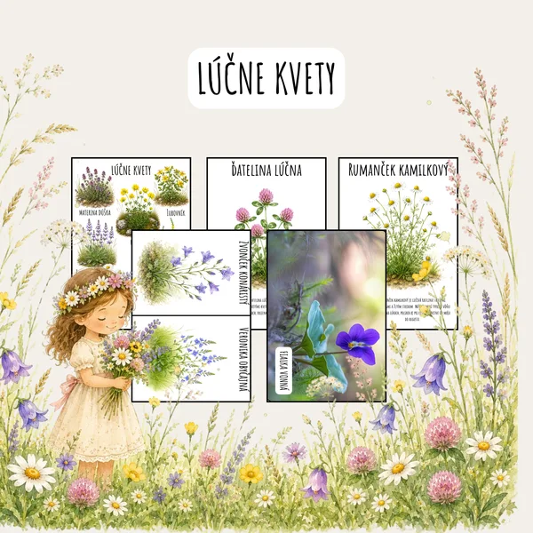Lúčne kvety, Na lúke