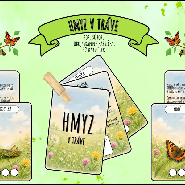 Hmyz v tráve- kartičky🐞