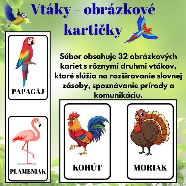 Obrázkové kartičky – Vtáky | 32 kartičiek pre deti