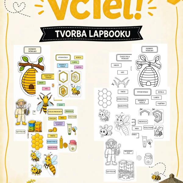 Včielky - výroba lapbooku