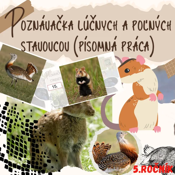 Poznávačka lúčnych a poľných stavovcov (písomná práca)