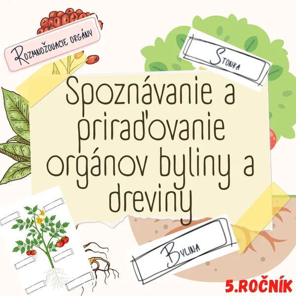 Spoznávanie a priraďovanie orgánov byliny a dreviny