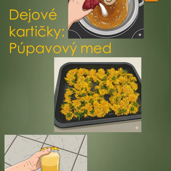 Dejové kartičky: Púpavový med + recept