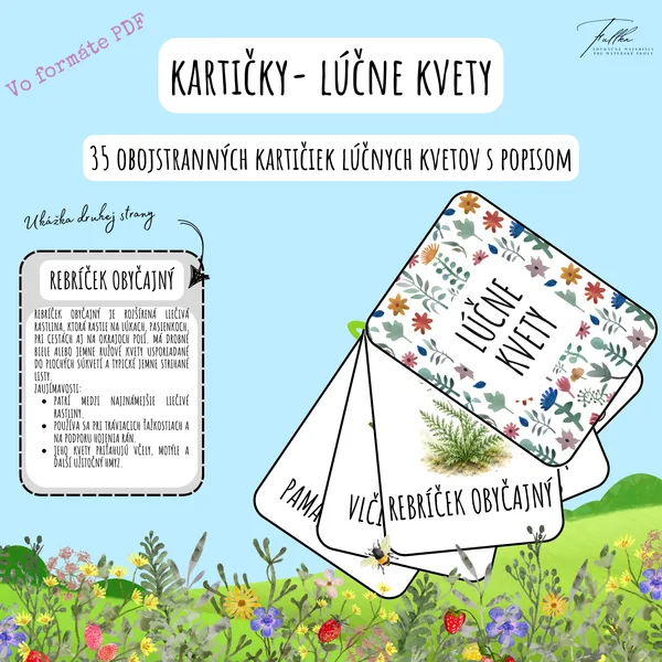 Kartičky- Lúčne kvety