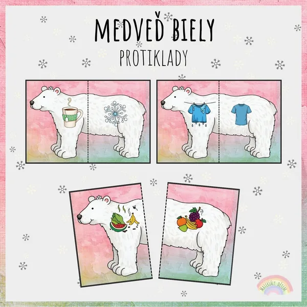 🐻‍❄️Medveď biely, protiklady🐻‍❄️