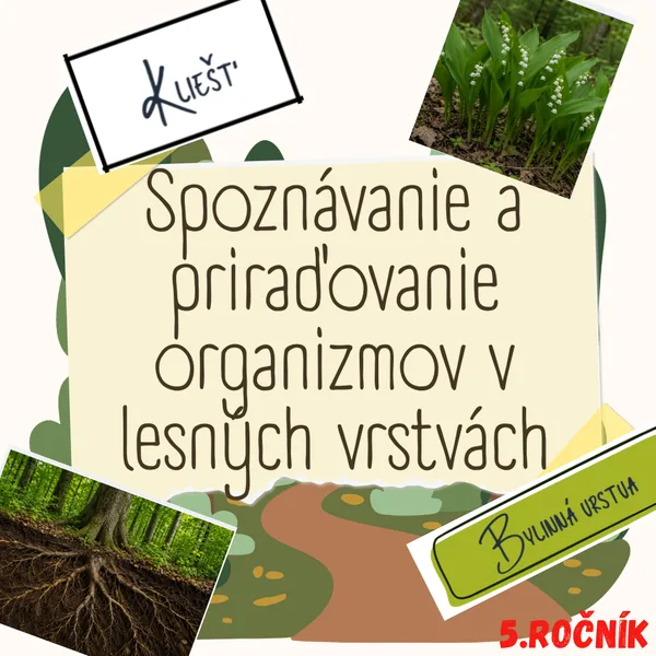 Spoznávanie a priraďovanie organizmov v lesných vrstvách