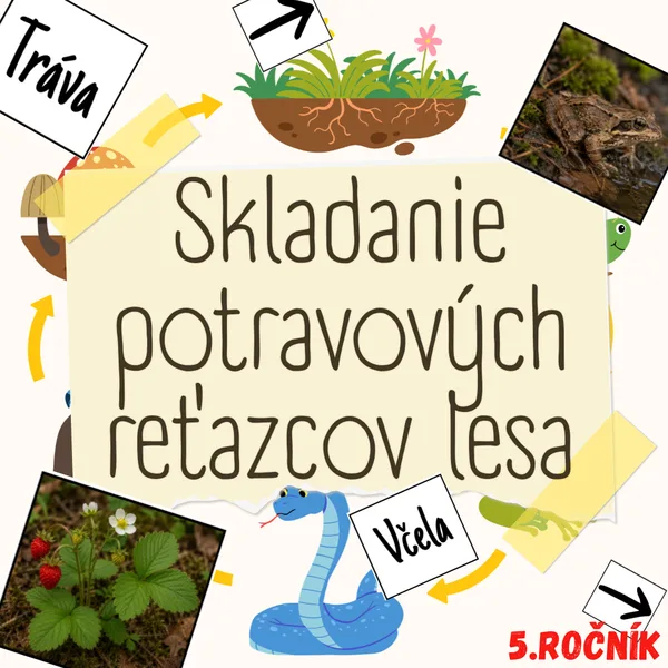 Skladanie potravových reťazcov lesa
